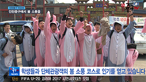 [인천중구TV뉴스] 인천중구에서 봄 소풍을 